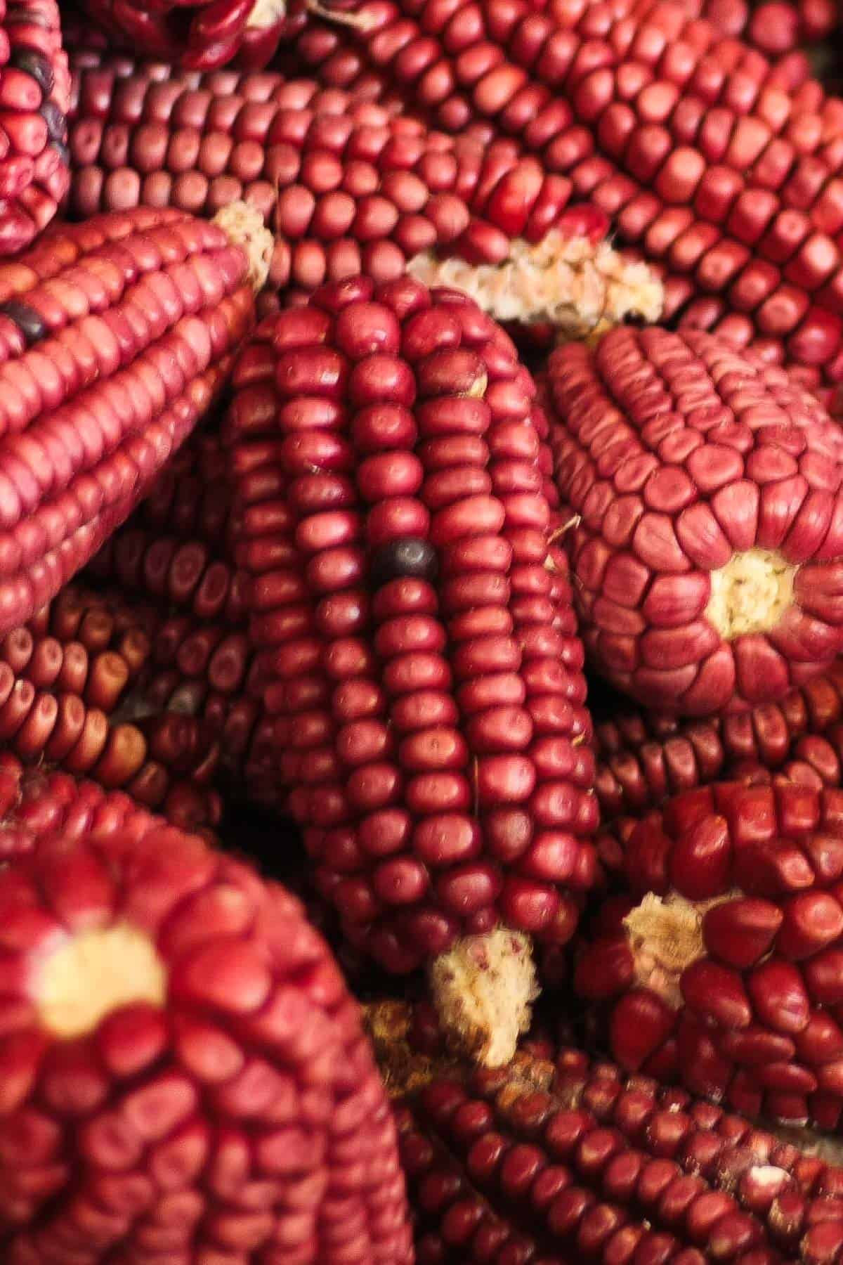 A bunch of pink corn in Mexico.