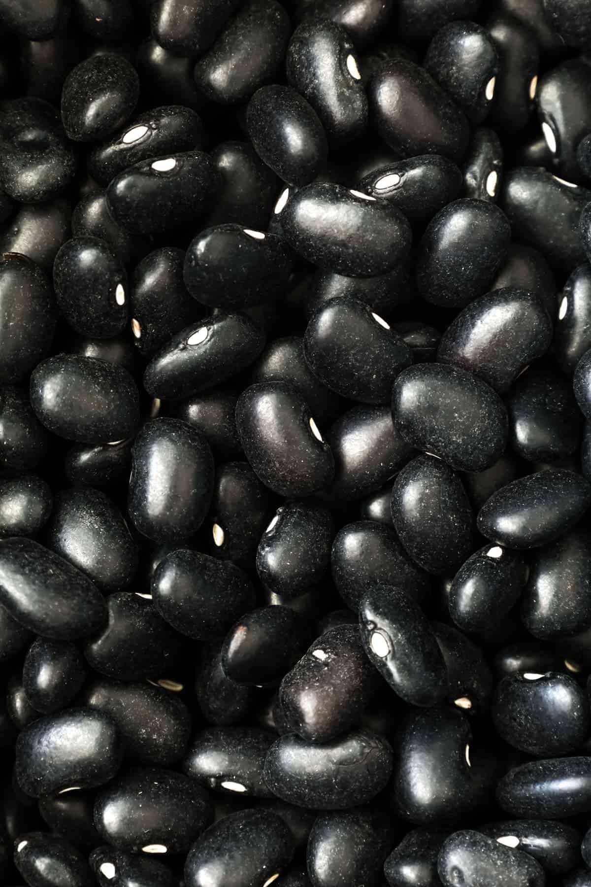 Black beans close up.