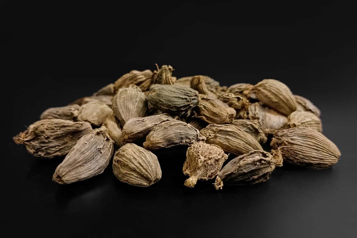 Black cardamom on a black background.