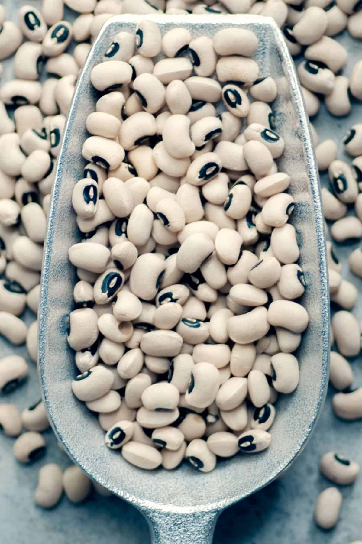 Black eyed peas on a scooping spoon.