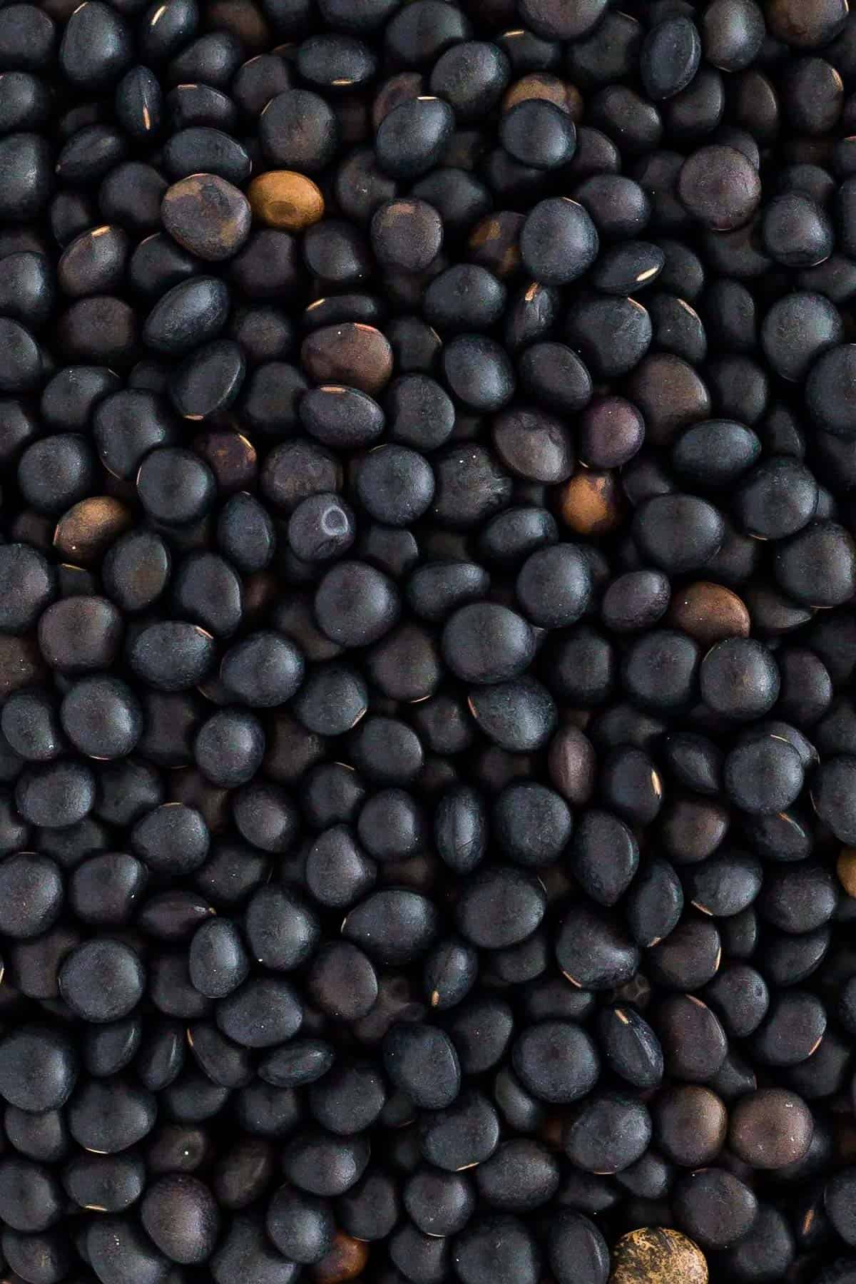 Black lentils close up.