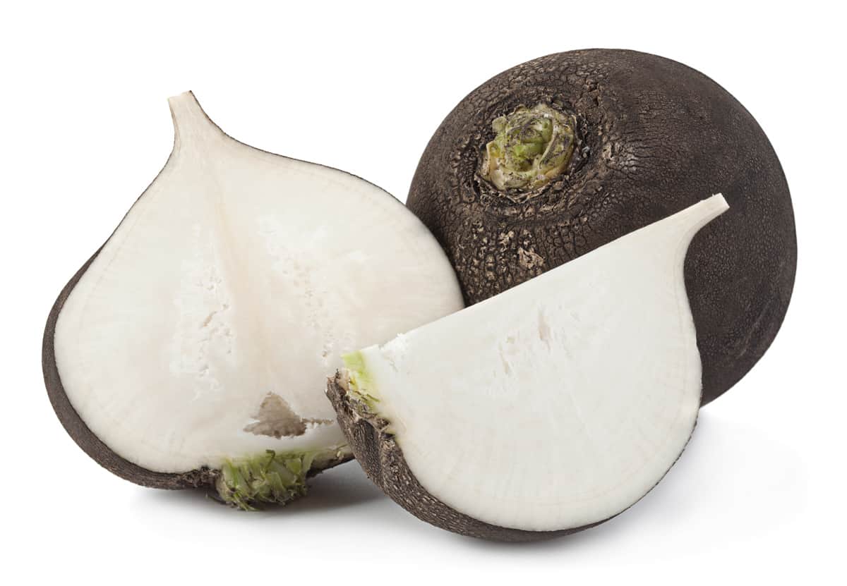 One whole black radish, and one cut up.