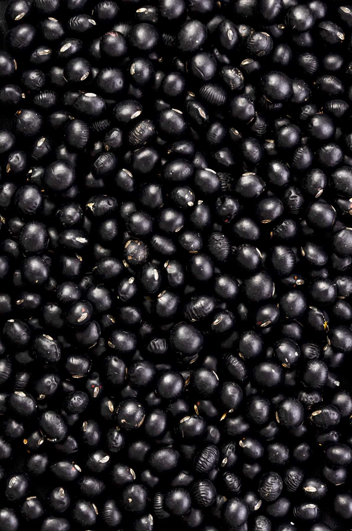Black soybeans close up.