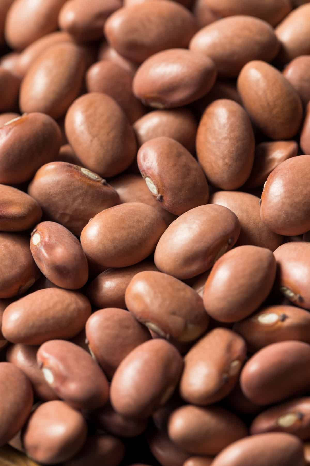 Close up of pink beans.