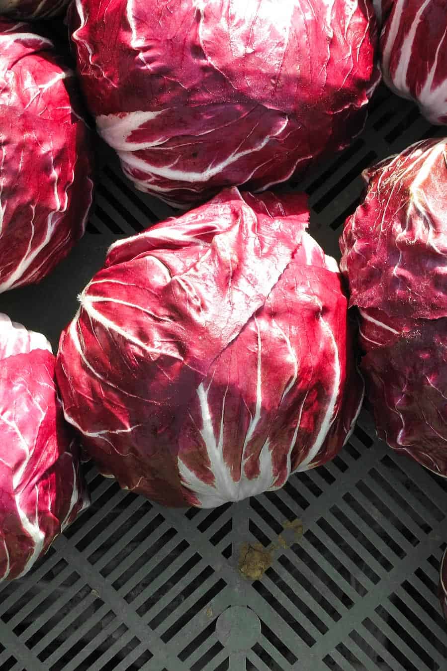 Radicchio chioggia on a dark green box.