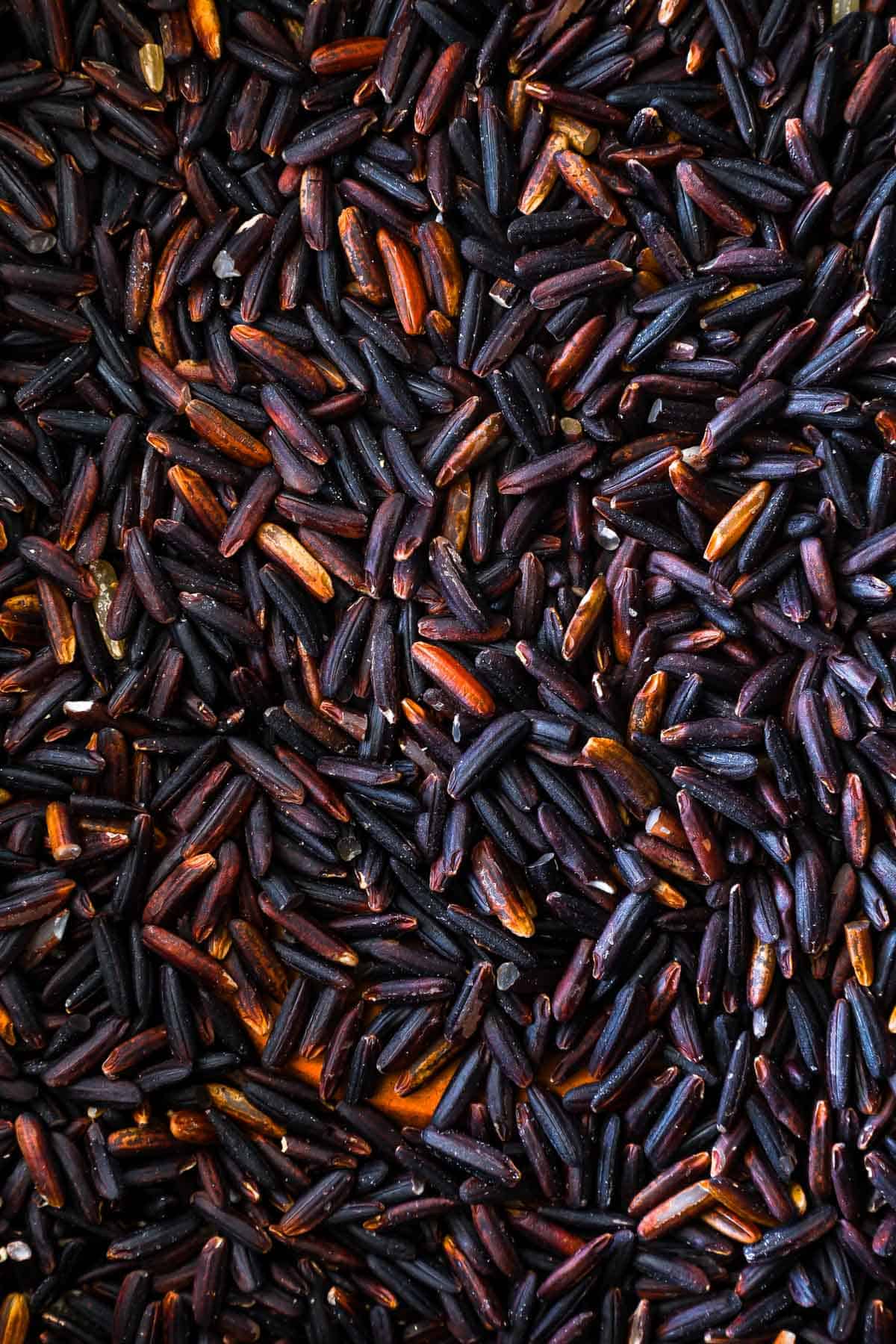 Forbidden black rice close up.