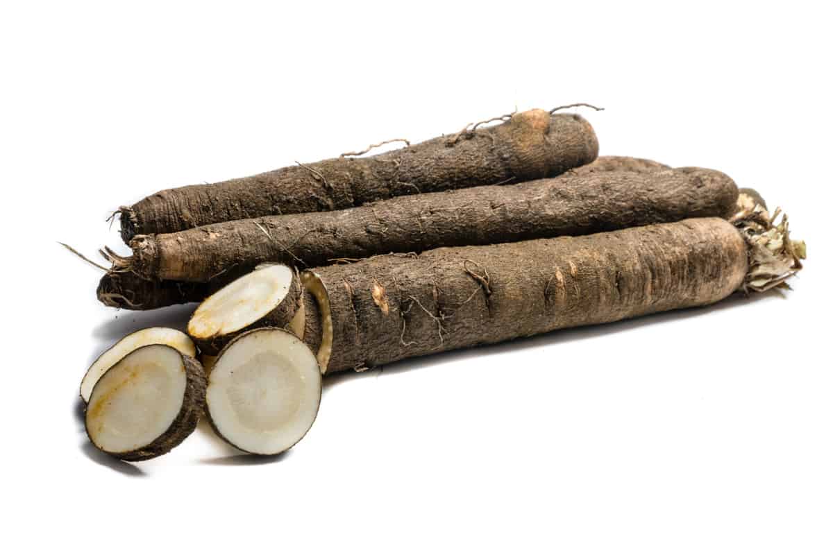 Salsify with some parts cut into discs.