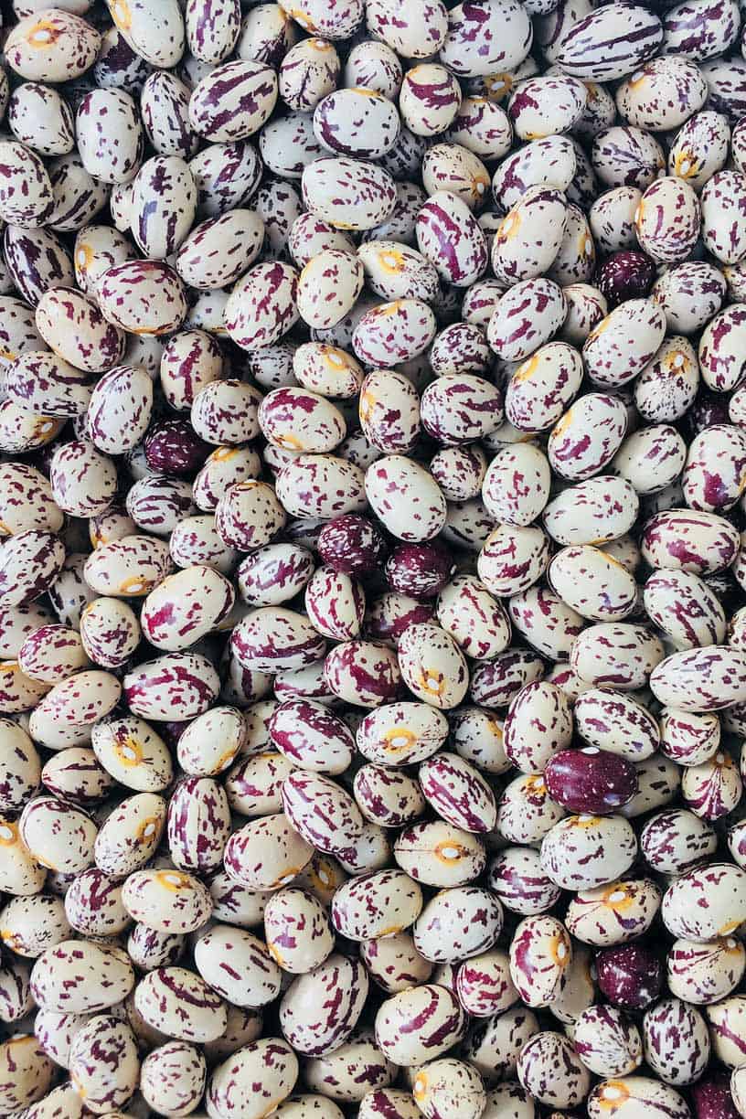 Sugar or borlotti or red-speckled or cranberry beans from above.