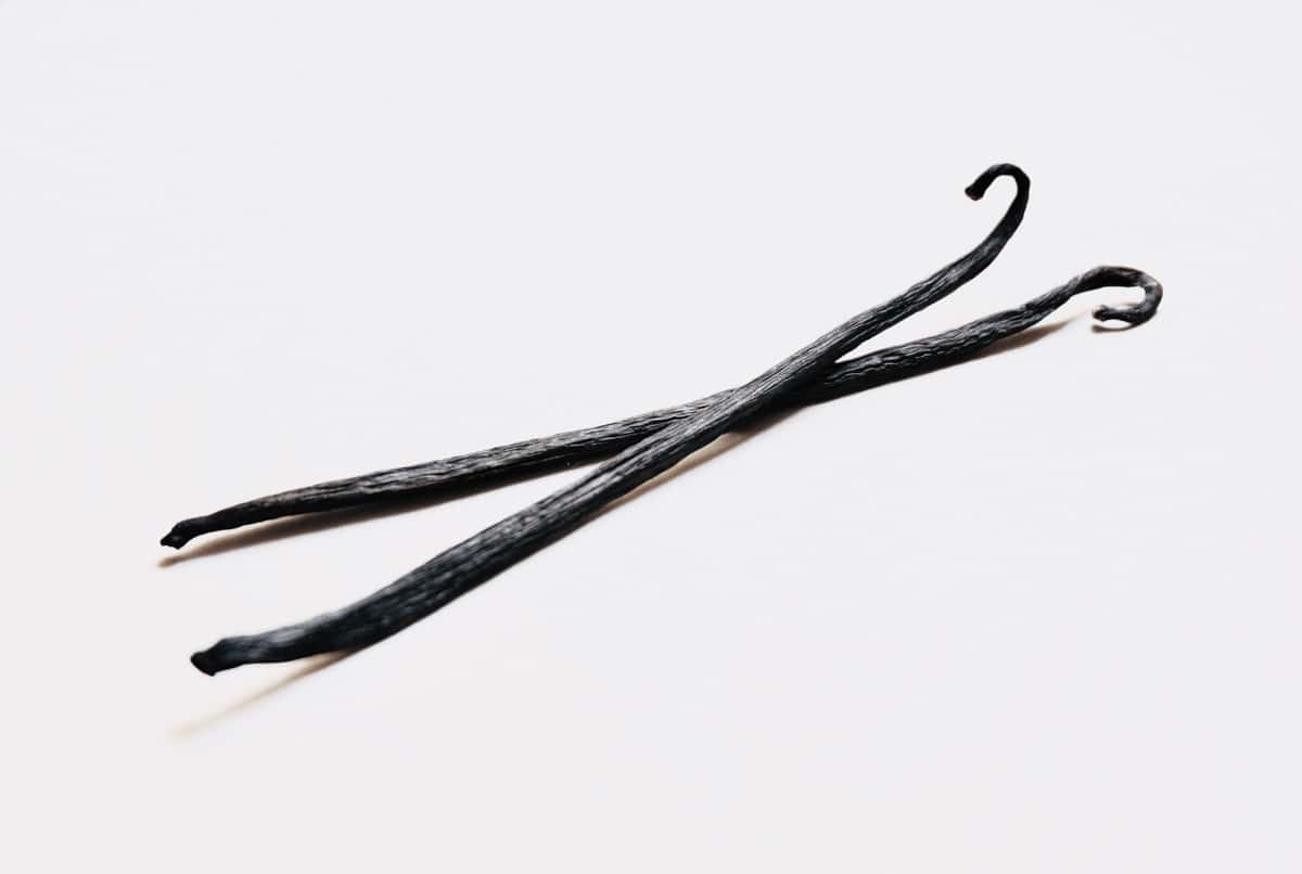 Two vanilla pods with white background.