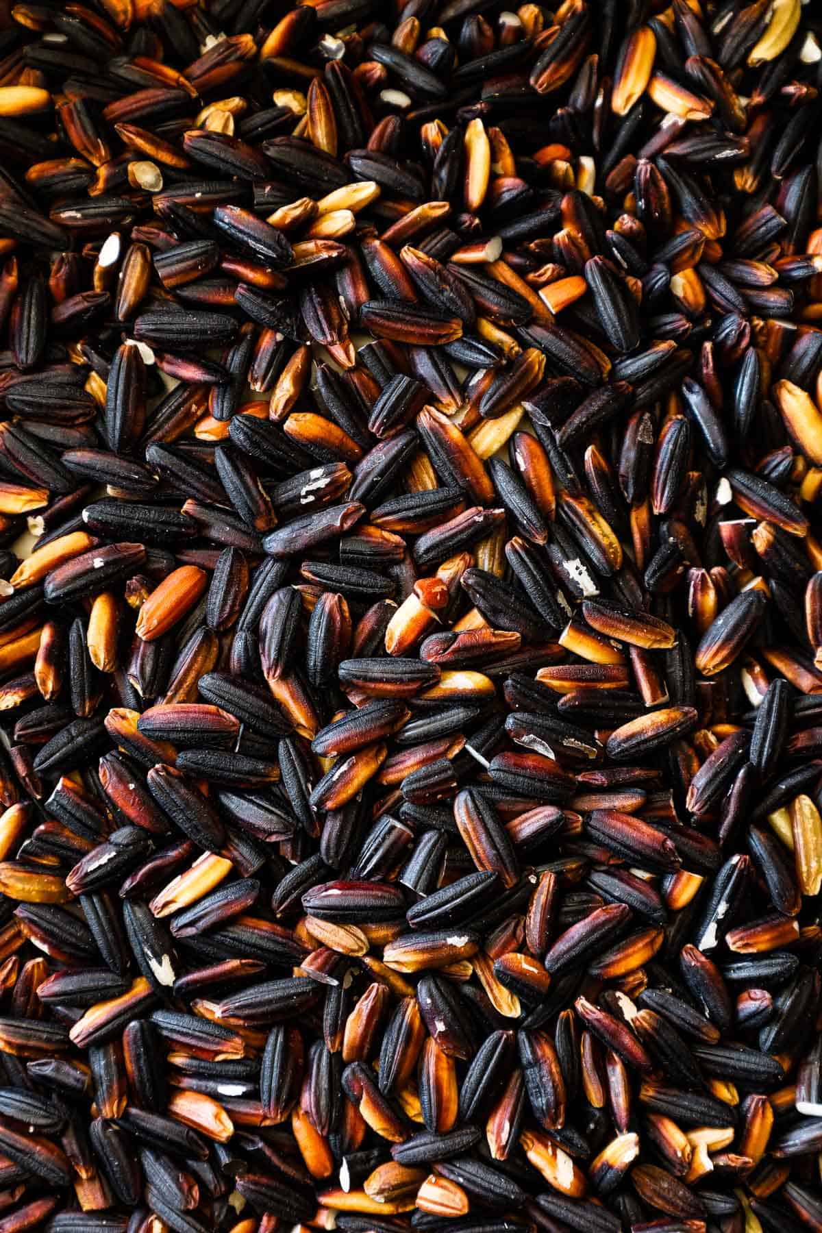 Glutinous black rice close up.