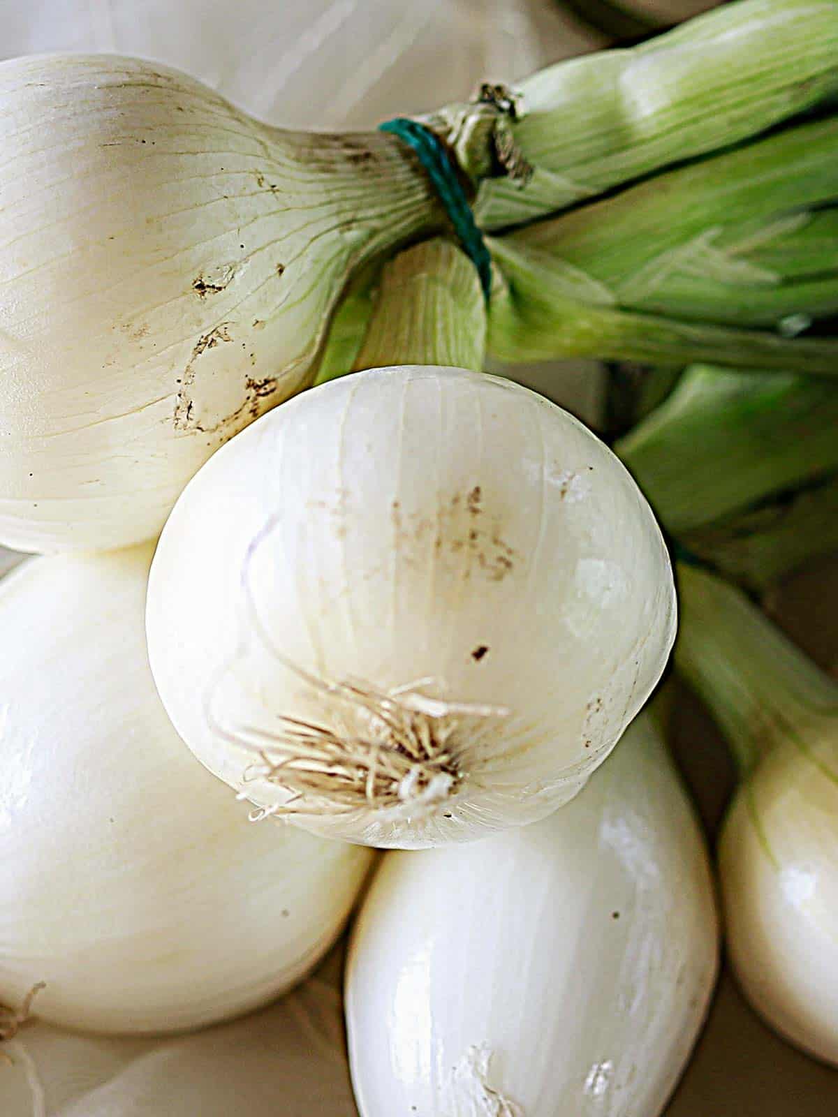 A bunch of white onions with their green stalks.