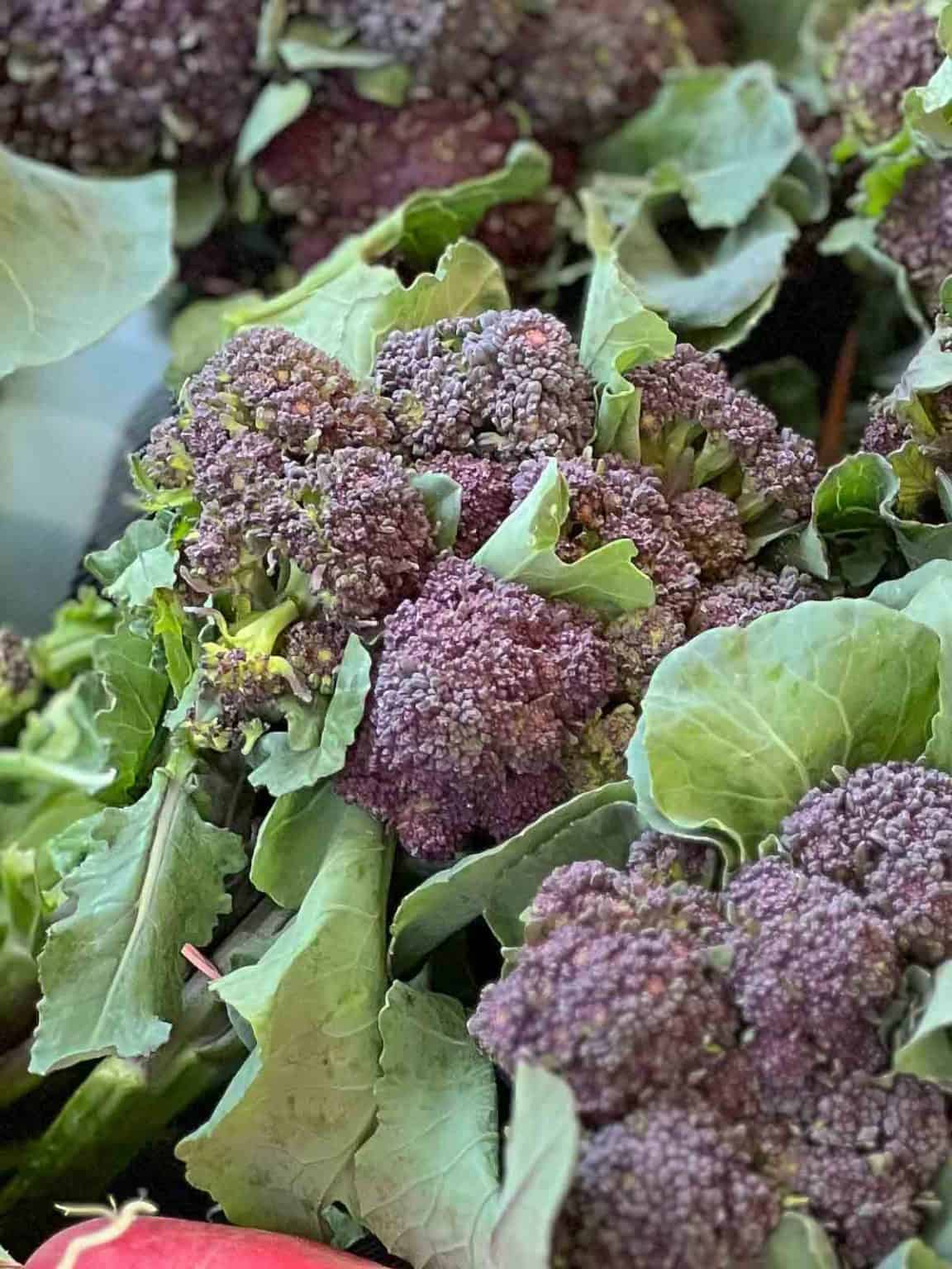 30 Purple Colored Vegetables (Photos, Names & More!) | The Fruity Jem