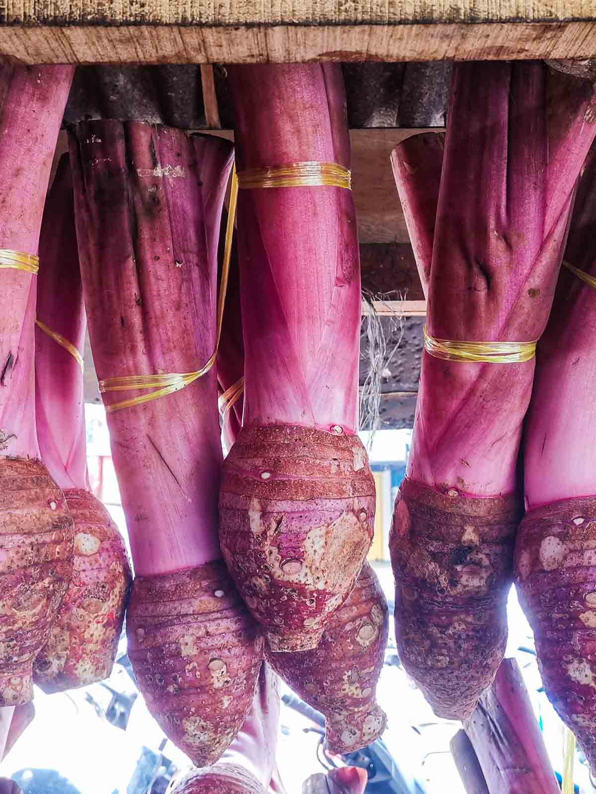 Purple/pink taro roots being hung and sold in a market in Indonesia.