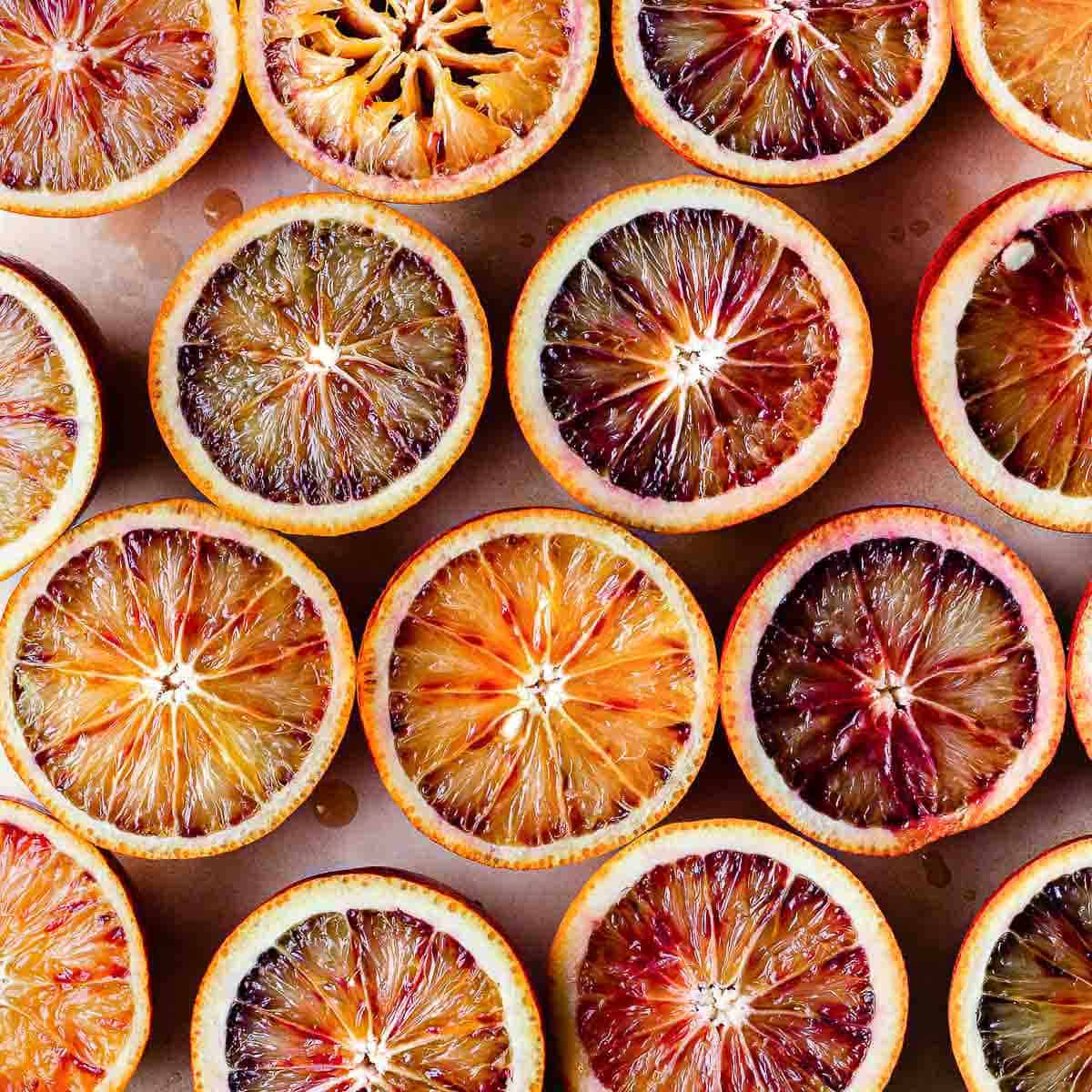 A bunch of blood orange slices, cropped in square.